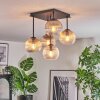 Koyoto Taklampa, kullampa Amber, Klart, Rökfärger, 5-ljuskällor