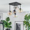 Ripoll Taklampa, kullampa Amber, Klart, Rökfärger, 5-ljuskällor