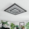 Lidor Taklampa LED Svart, 1-ljuskällor
