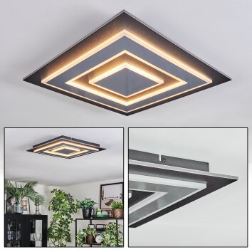 Lidor Taklampa LED Svart, 1-ljuskällor
