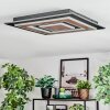 Lidor Taklampa LED Svart, 1-ljuskällor