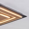 Lidor Taklampa LED Svart, 1-ljuskällor