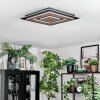 Lidor Taklampa LED Svart, 1-ljuskällor