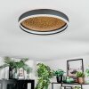 Guine Taklampa LED Guld, Svart, 1-ljuskällor