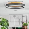 Guine Taklampa LED Guld, Svart, 1-ljuskällor