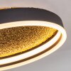 Guine Taklampa LED Guld, Svart, 1-ljuskällor