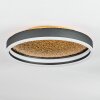 Guine Taklampa LED Guld, Svart, 1-ljuskällor