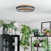 Guine Taklampa LED Guld, Svart, 1-ljuskällor