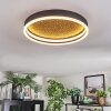 Guine Taklampa LED Guld, Svart, 1-ljuskällor