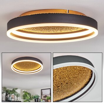 Guine Taklampa LED Guld, Svart, 1-ljuskällor