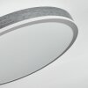 Salmi Taklampa, Panel LED Grått, Silver, 1-ljuskällor, Fjärrkontroll
