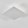 Omaro Taklampa, Panel LED Vit, 1-ljuskällor, Färgväxlare