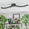 Arlan Taklampa LED Svart, 1-ljuskällor