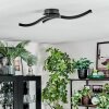 Arlan Taklampa LED Svart, 1-ljuskällor