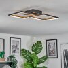 Binor Taklampa LED Naturfärger, Svart, 1-ljuskällor