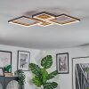 Binor Taklampa LED Naturfärger, Svart, 1-ljuskällor