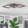 Binor Taklampa LED Naturfärger, Svart, 1-ljuskällor