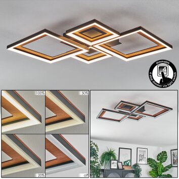 Binor Taklampa LED Naturfärger, Svart, 1-ljuskällor