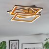 Binor Taklampa LED Naturfärger, Svart, 1-ljuskällor