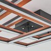 Binor Taklampa LED Naturfärger, Svart, 1-ljuskällor