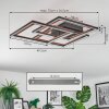 Binor Taklampa LED Naturfärger, Svart, 1-ljuskällor