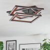 Binor Taklampa LED Naturfärger, Svart, 1-ljuskällor