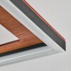 Binor Taklampa LED Naturfärger, Svart, 1-ljuskällor