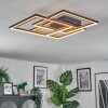 Binor Taklampa LED Naturfärger, Svart, 1-ljuskällor