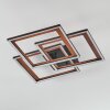 Binor Taklampa LED Naturfärger, Svart, 1-ljuskällor