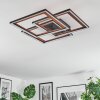 Binor Taklampa LED Naturfärger, Svart, 1-ljuskällor