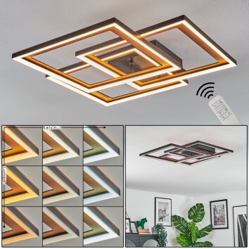 Binor Taklampa LED Naturfärger, Svart, 1-ljuskällor