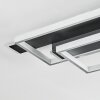 Olian Taklampa LED Svart, Silver, 1-ljuskällor