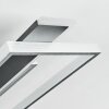 Olian Taklampa LED Svart, Silver, 1-ljuskällor