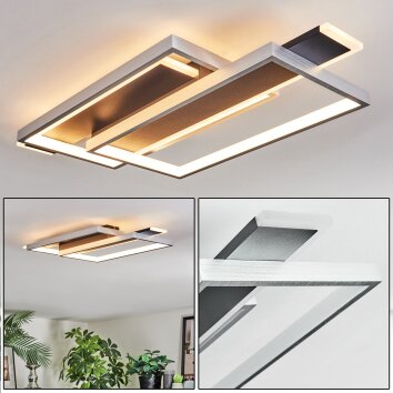 Olian Taklampa LED Svart, Silver, 1-ljuskällor