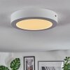 Omaro Taklampa, Panel LED Vit, 1-ljuskällor, Färgväxlare