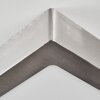 Omaro Taklampa, Panel LED Nickel matt, 1-ljuskällor, Färgväxlare