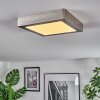 Omaro Taklampa, Panel LED Nickel matt, 1-ljuskällor, Färgväxlare