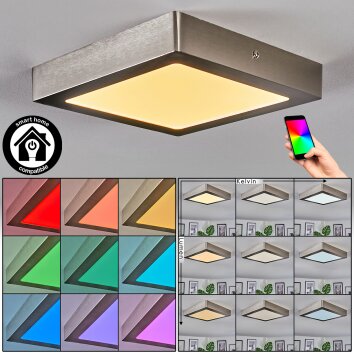 Omaro Taklampa, Panel LED Nickel matt, 1-ljuskällor, Färgväxlare