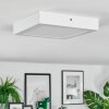 Omaro Taklampa, Panel LED Vit, 1-ljuskällor, Färgväxlare