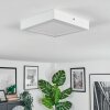Omaro Taklampa, Panel LED Vit, 1-ljuskällor