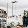Gastor Pendellampa, kullampa, Pendelbelysning Amber, Klart, Rökfärger, 5-ljuskällor