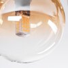 Chehalis Taklampa, kullampa Amber, Klart, 5-ljuskällor