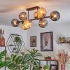 Ripoll Taklampa, kullampa Amber, Rökfärger, 8-ljuskällor