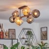 Ripoll Taklampa, kullampa Amber, Rökfärger, 8-ljuskällor