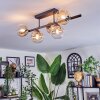 Chehalis Taklampa, kullampa Amber, Klart, 5-ljuskällor