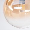 Chehalis Taklampa, kullampa Amber, Klart, 5-ljuskällor