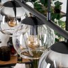 Koyoto Pendellampa, kullampa, Pendelbelysning Amber, Klart, Rökfärger, 5-ljuskällor