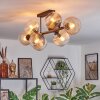 Koyoto Taklampa, kullampa Amber, Klart, Rökfärger, 8-ljuskällor