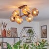 Ripoll Taklampa, kullampa Amber, 8-ljuskällor