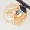 Ripoll Taklampa, kullampa Amber, 5-ljuskällor